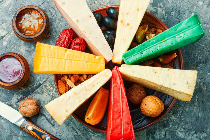 Tipos multicoloridos de queijo