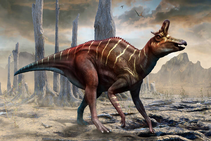 Ламбеозавр