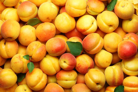 Mogna aprikoser