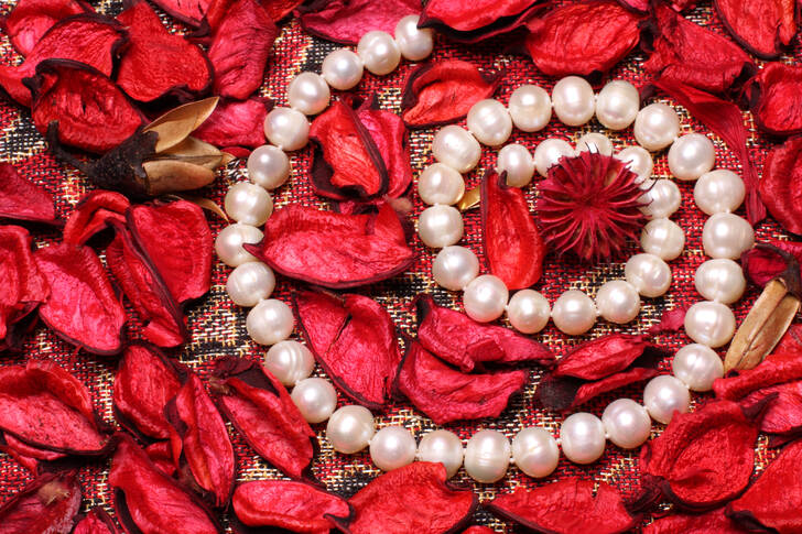 Necklace on red petals