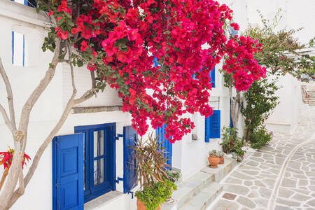 Ulica na ostrove Paros