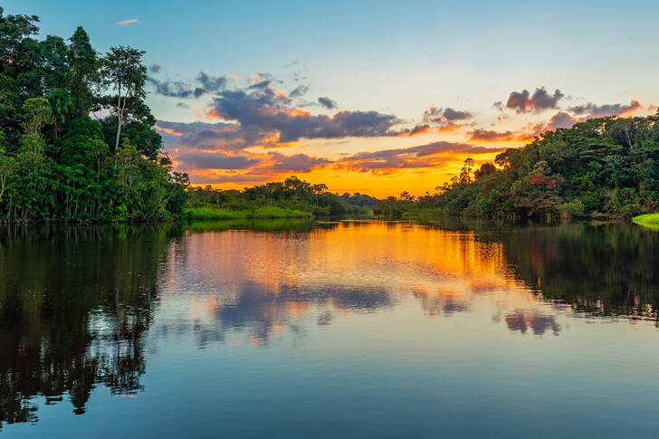 The Amazon River at sunset