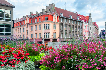 Tallinn in summer