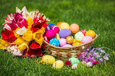 Basket with Easter eggs and tulips