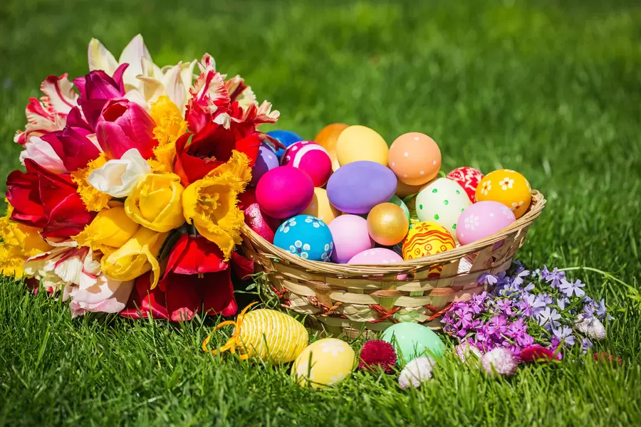 Keranjang dengan telur Paskah dan tulip