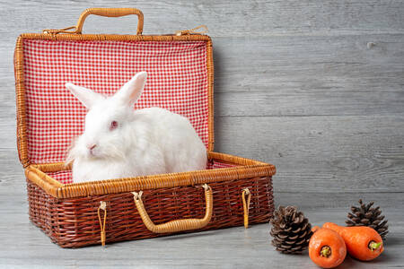 Bunny in a picnic basket