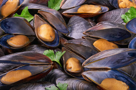 Svarta musslor med örter