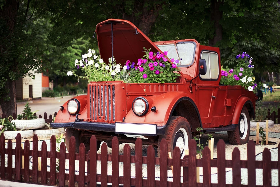 Blumen in einem alten Auto