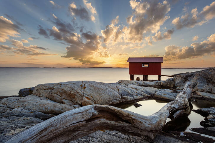 Cottage on the coast of Sweden