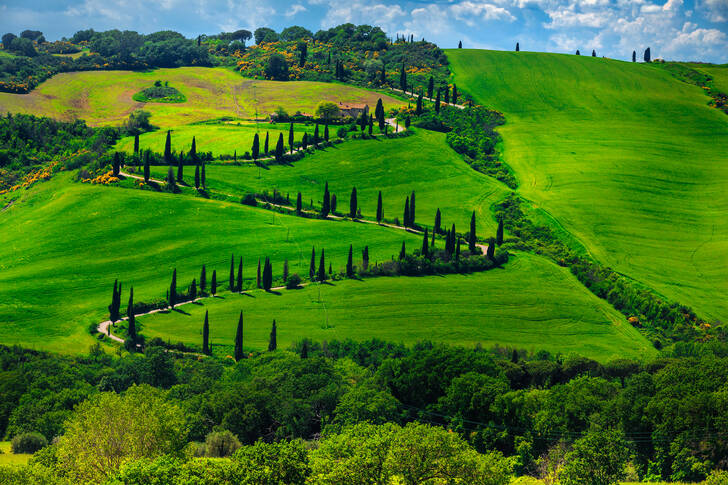 Drum întortocheat în Toscana