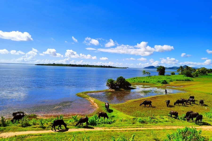 Danau Chilika