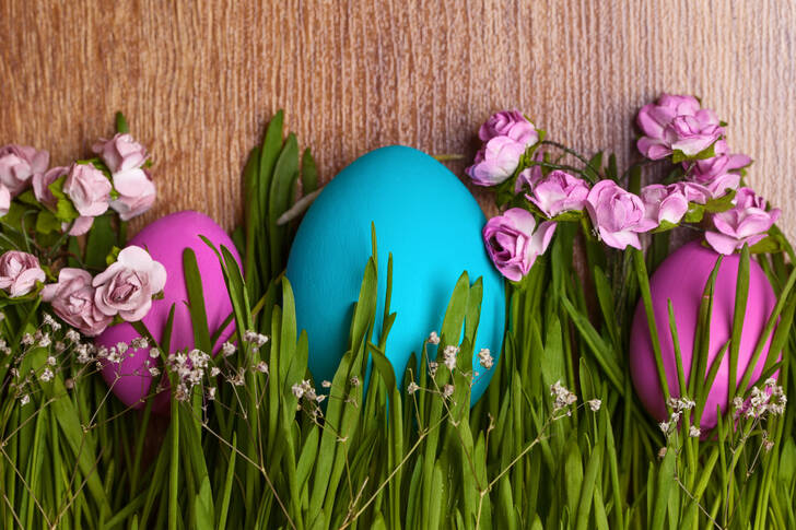 Húsvéti tojás a fűben