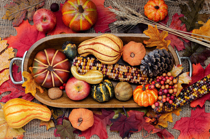 Pumpkins on a wooden tray