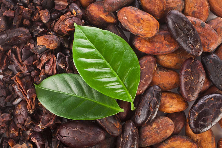 Cocoa beans