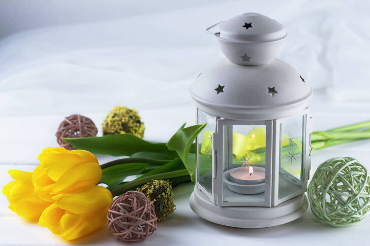 White lantern and tulips on the table