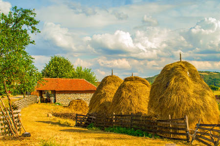 Hay supplies in the village