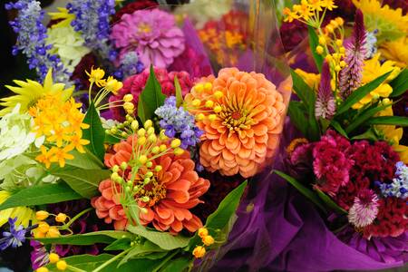 Ramos de flores frescas