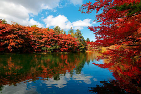 Kumoba Pond in Karuizawa City