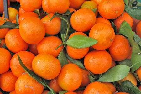 Clementine portakalları
