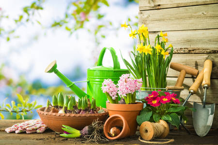 Flori și unelte de grădină