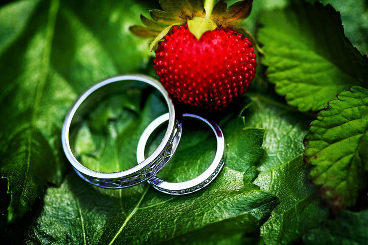Wedding rings on green leaves