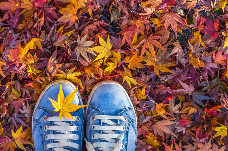 Sneakers on yellowed leaves