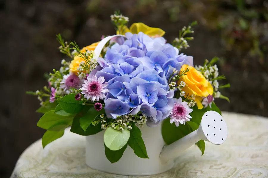 Arrangement de fleurs dans un arrosoir
