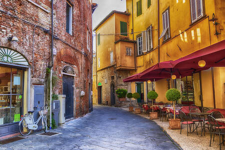 Old streets of Lucca