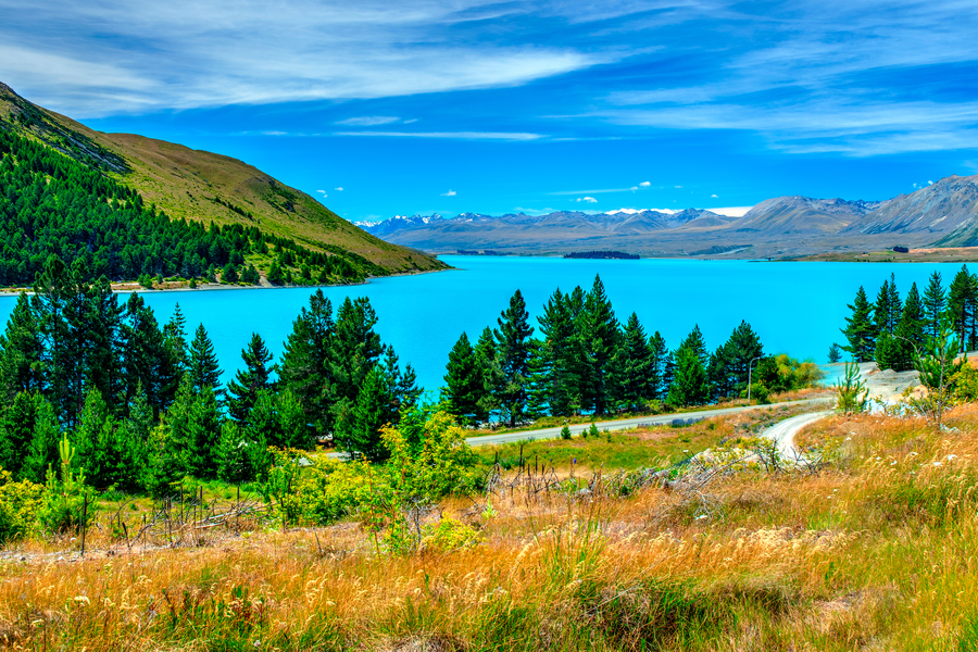 Lake Tekapo