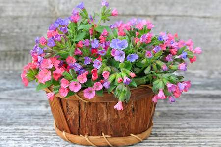 Flowers in a basket on a gray table