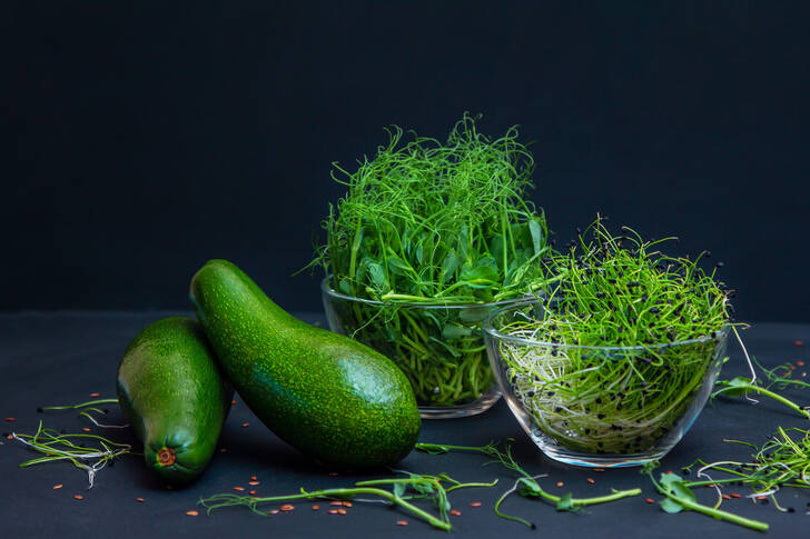 Microverde și avocado