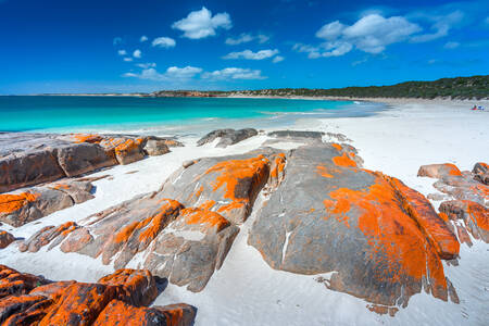 Bay on the York Peninsula