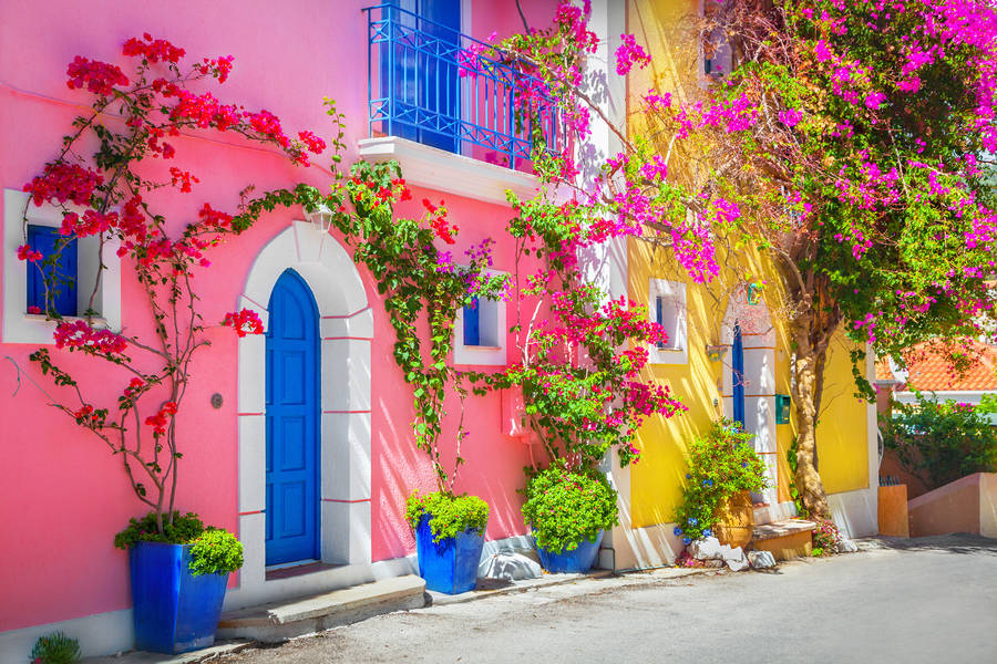 Jigsaw Puzzles Online Play Free Puzzle Garage