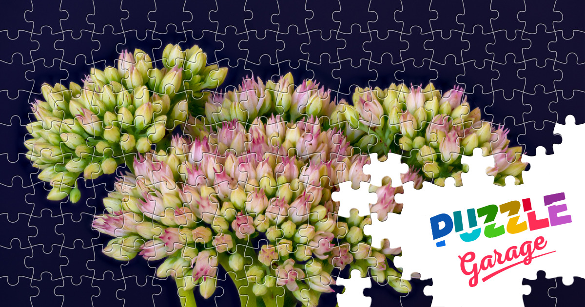 Flowers On A Blue Background Jigsaw Puzzle (Plants, Flowers) | Puzzle ...