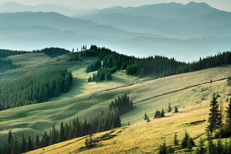 Kabut di Carpathians