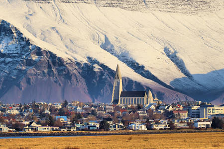 Reykjavik view