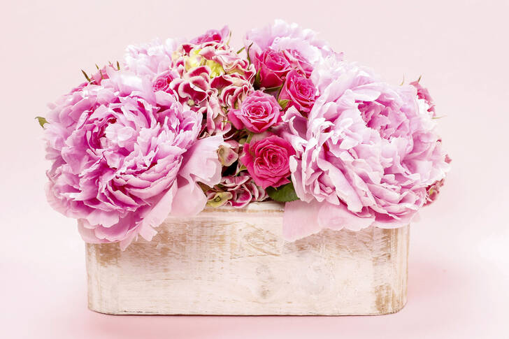 Pink peonies and roses