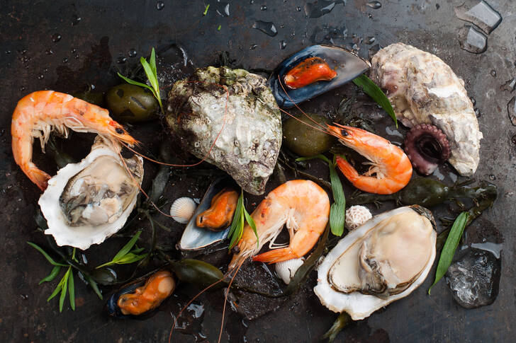 Seafood on a dark background