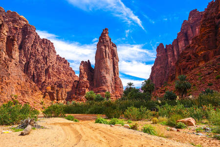 Wadi Al Disah, Saudi Arabia