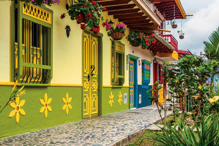 Fachadas brillantes de casas