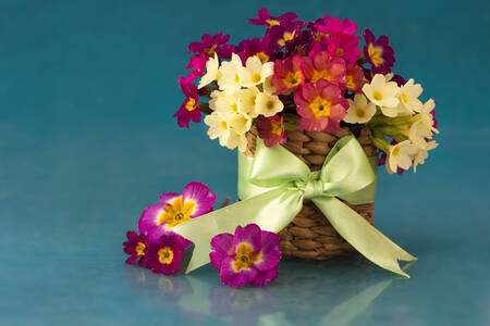 A bouquet of primroses in a basket