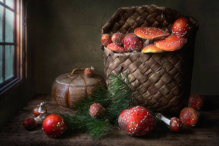 Fly agarics in a basket