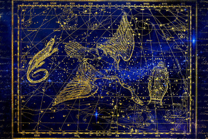 Constellations Lizard, Cygnus and Lyra