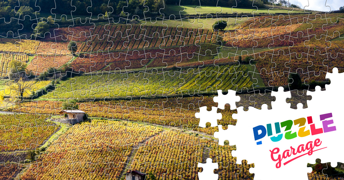 Beaujolais vineyards Jigsaw Puzzle (Countries, France) Puzzle Garage