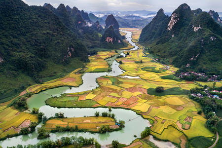 Rýžová pole podél řeky