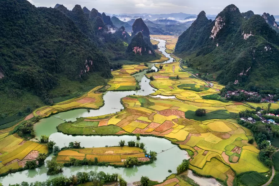 Sawah di sepanjang sungai
