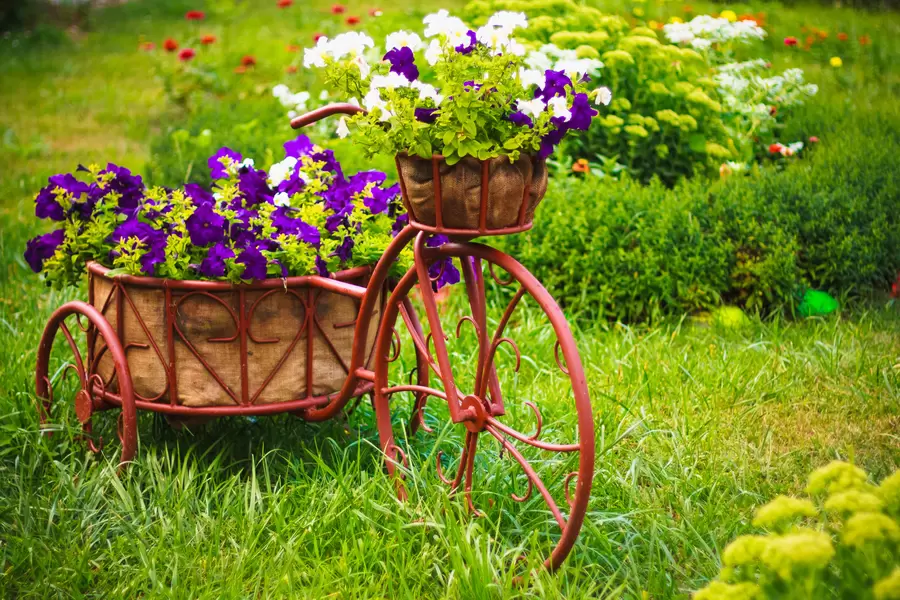 Bicicleta vintage cu flori