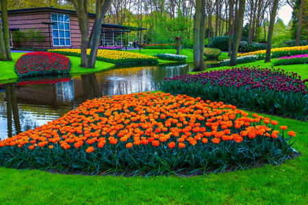 Královský park květin - Keukenhof