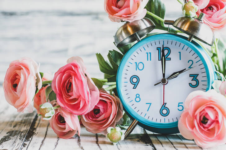 Alarm clock among roses