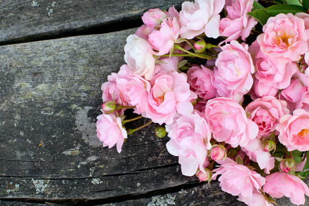 Rosas rosadas sobre fondo de madera